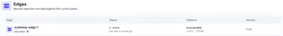 list of remote edge executors registered on a control plane instance