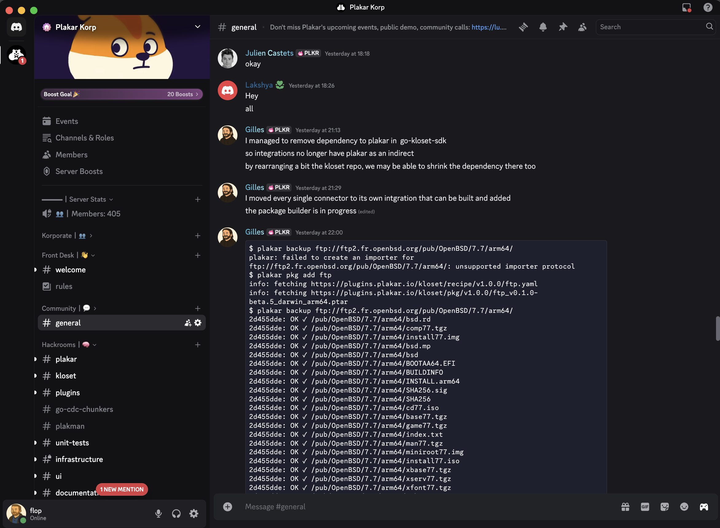 Discord screenshot